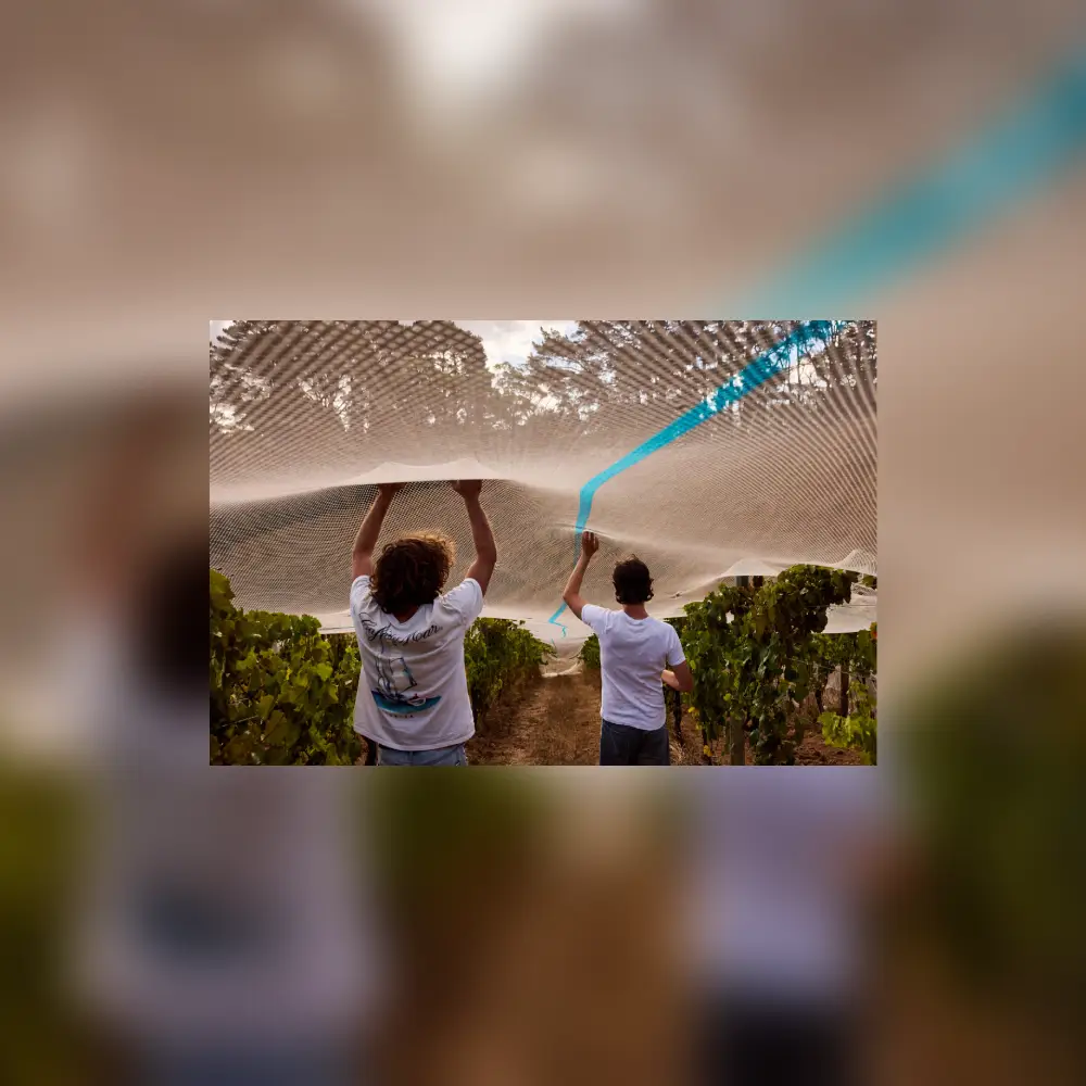 wilson tanner, the social lover